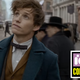 Image for article titled This New Fantastic Beasts and Where to Find Them Trailer Is Heavy on the Beasts